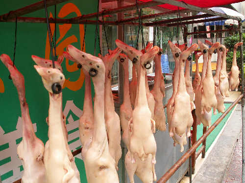Kunming: kaczki