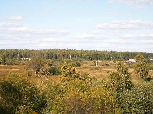 Lasy Niziny Wschodnioeuropejskiej