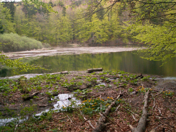 Jeziorka Dyszatyńskie