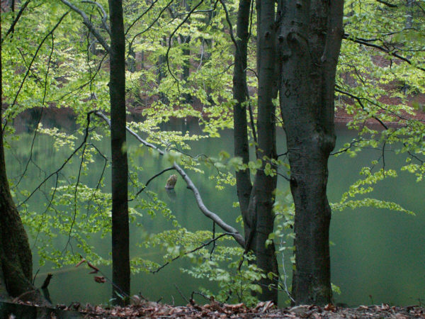 Jeziorka Dyszatyńskie