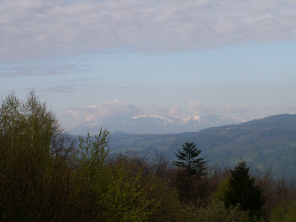 Tatry z Hali Pisanej