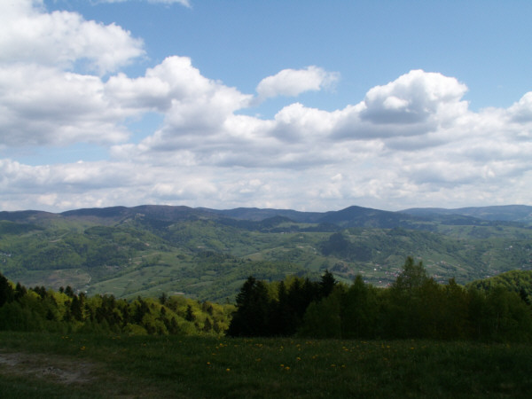 Widok znad Rytra na Pasmo Jaworzyny