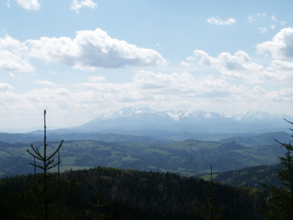 Tatry spod Radziejowej