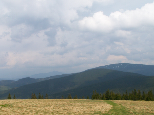 Widok z Rysianki na Pilsko i Babią