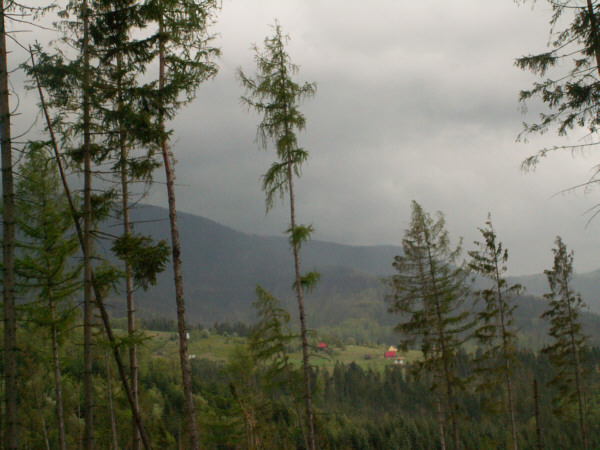 Burza nad Abrahamowem