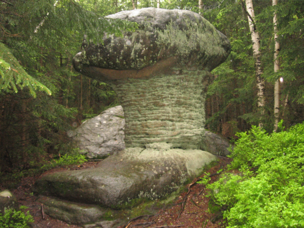 Na szlaku Skalnych Grzybów