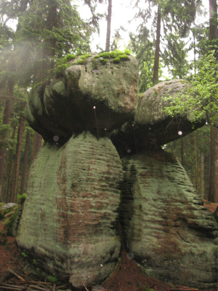 Na szlaku Skalnych Grzybów