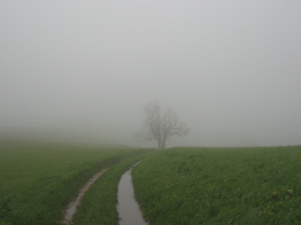 Przez Zielonym Ludowym