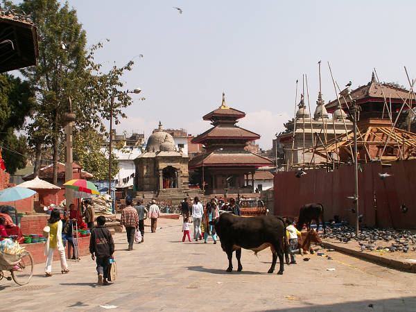 Kathmandu: Pl. Durbar
