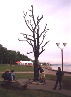 Pietrozawodsk: Drzewo Życzeń