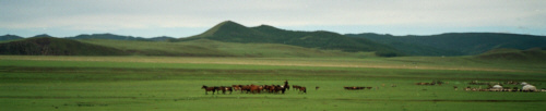 Mongolia: jurty, konie, step...