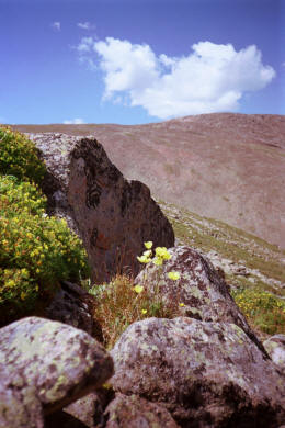 Ich Uuł ze stoku Czerwonej Góry