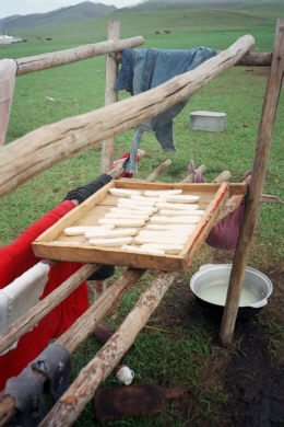 Suszące się na słońcu sery owcze