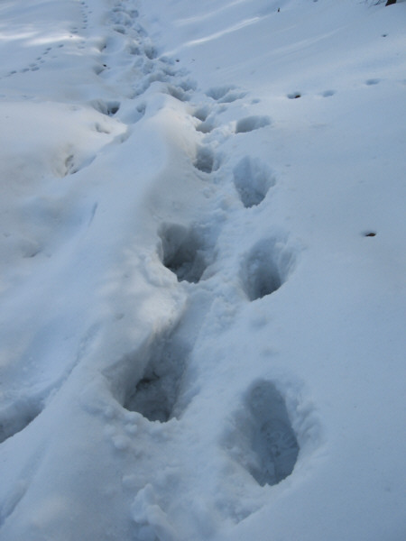 Przymierzanie gumiaków