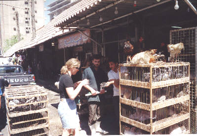 Targ w okolicach hotelu