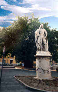 Drzewo, pod którym stoi Sylwia, to znany z Polski doniczkowy ficus beniamina (Messyna)