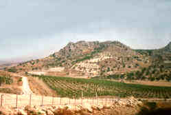 W drodze do Corleone