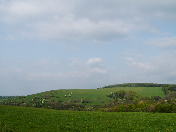 Nad Puławami