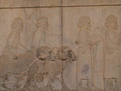 Persepolis: reliefy na schodach paĹacu Apadana