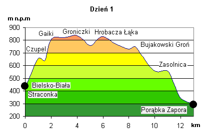 Histogram 1